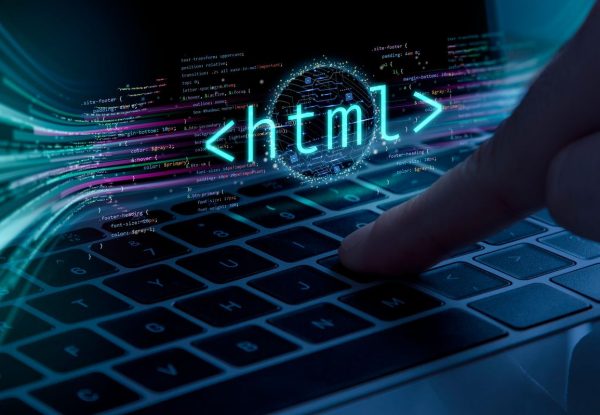 Web Development